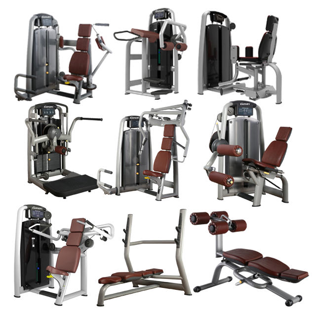Proveedor de Equipos de Gimnas - Heavy Equipment Supplier reseña y precio